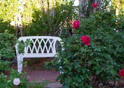 Debbie's Hide A Way Motel - Page - Outdoor view