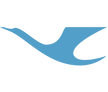 XiamenAir